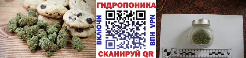 Купить где Волоколамск Cannafood конопля
