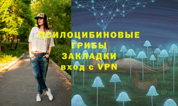крисы Верея