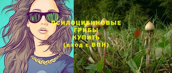 крисы Верея