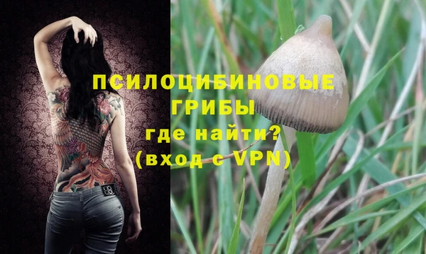 МДМА Верхний Тагил