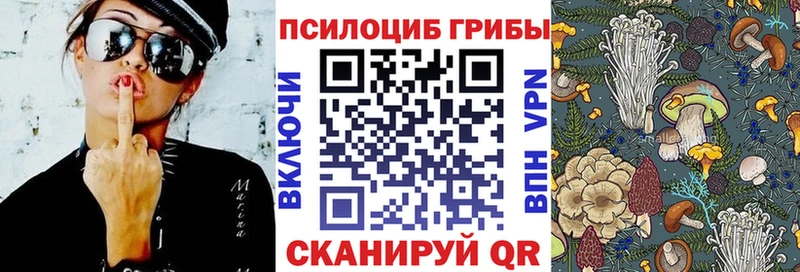 Псилоцибиновые грибы Magic Shrooms  Купить закладки  Волоколамск 